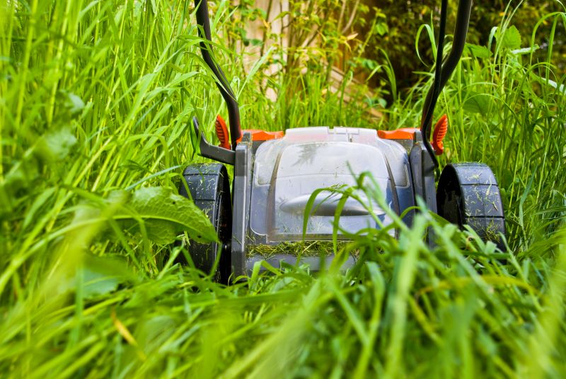 Rough Mowing