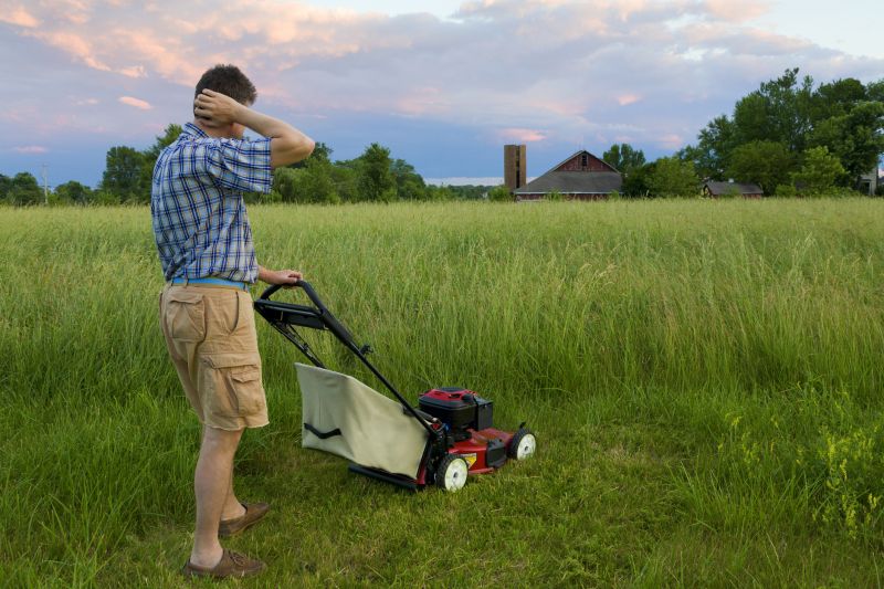 Rough Mowing