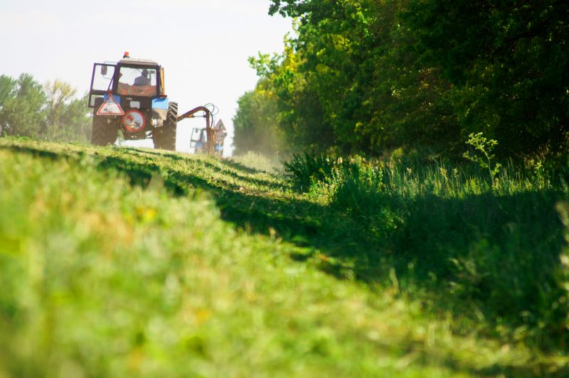 Brush Mowing Service in Waldorf, MD