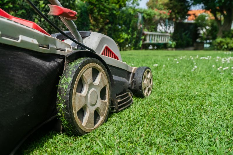 Brush Mowing Service in Duluth, MN