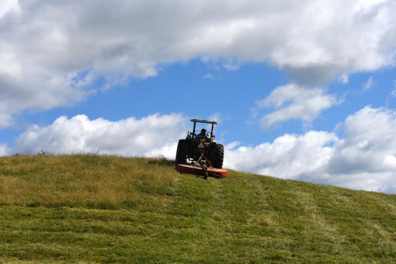 Bush Hog Mowing in Prince Georges County, MD