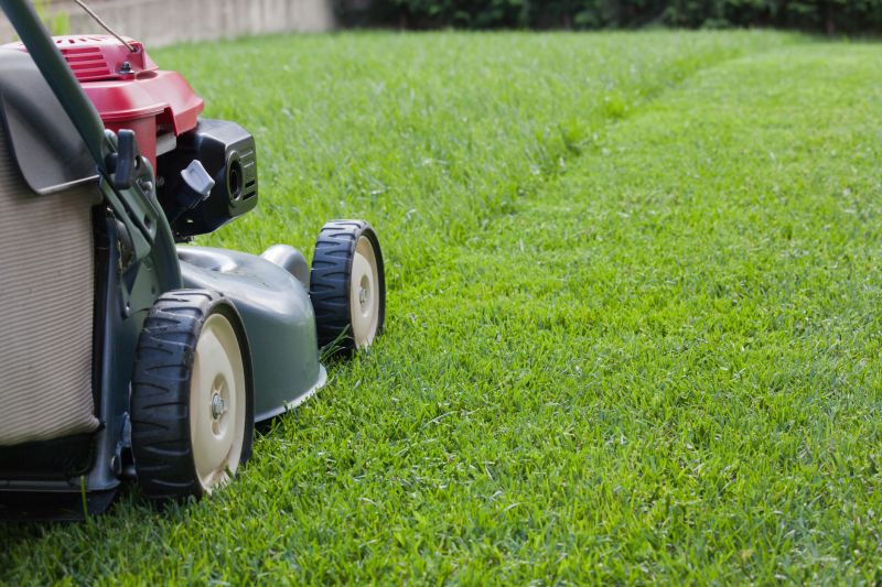 Lawn Cutting Service in Bowie, MD