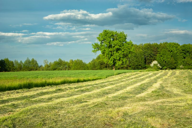 Pasture Mowing in Calvert County, MD