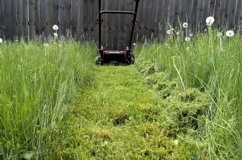 Rough Mowing