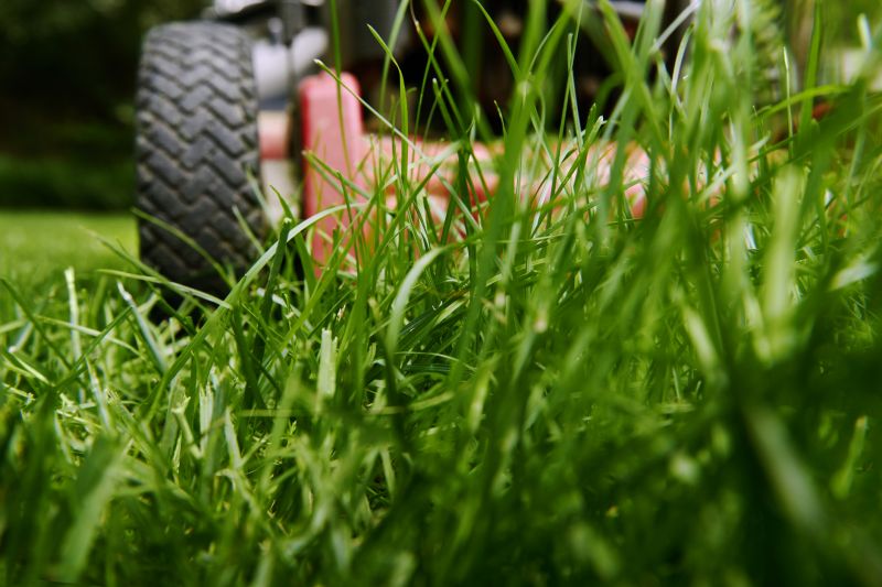 Vacant Lot Mowing in Duluth, MN