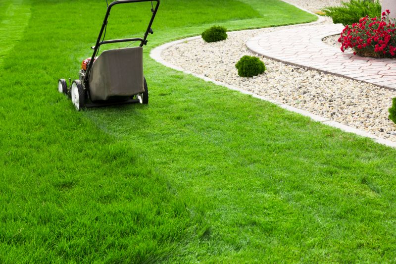 Healthy Lawn Growth
