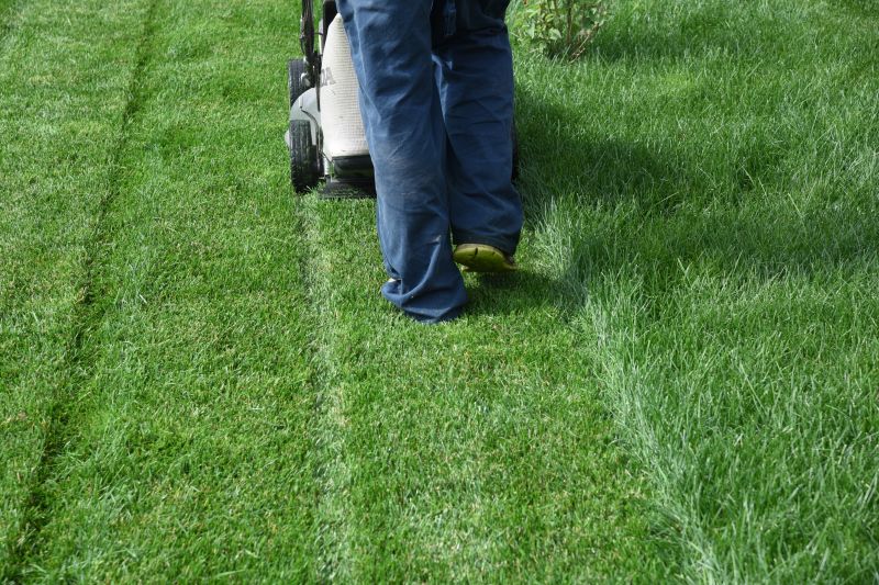 Yard Upkeep Service in Bowie, MD